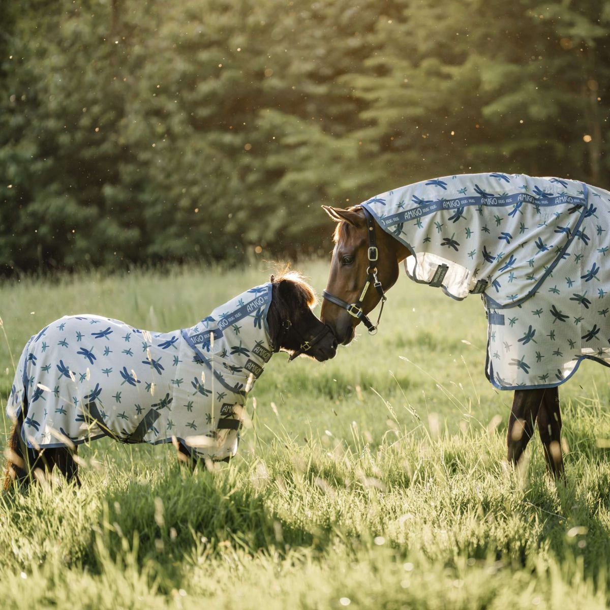 Amigo Couverture Anti-Mouches Plus Petite Dragonfly Print/Silver/Blue/Sage
