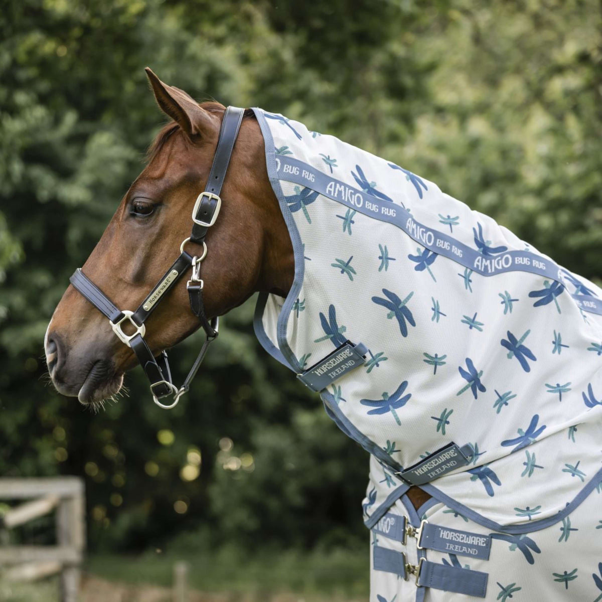 Amigo Couverture Anti-Mouches Plus Dragonfly Print/Silver/Blue/Sage