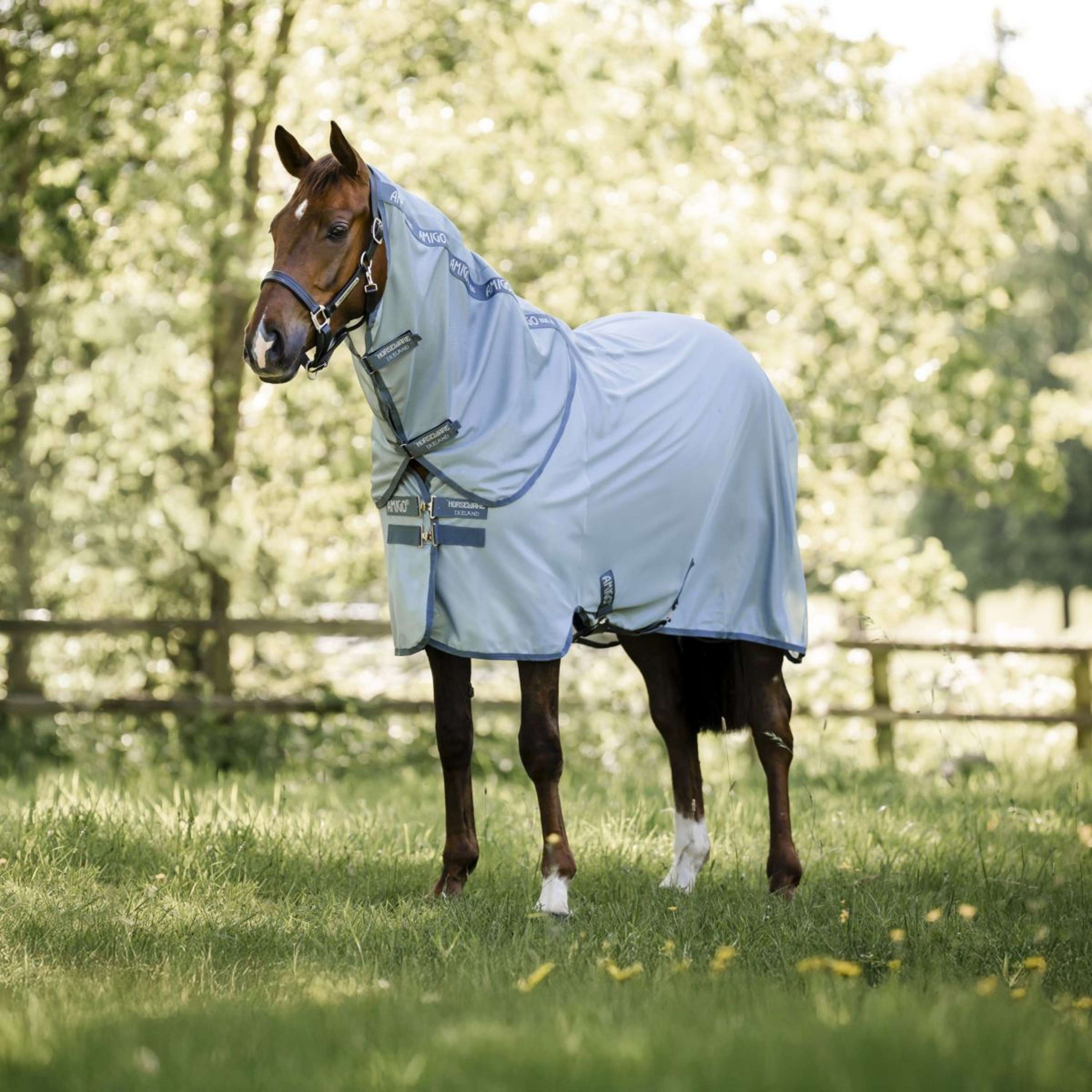 Amigo Couvre-Cou Bug Rug Heather Blue/Blue/Silver