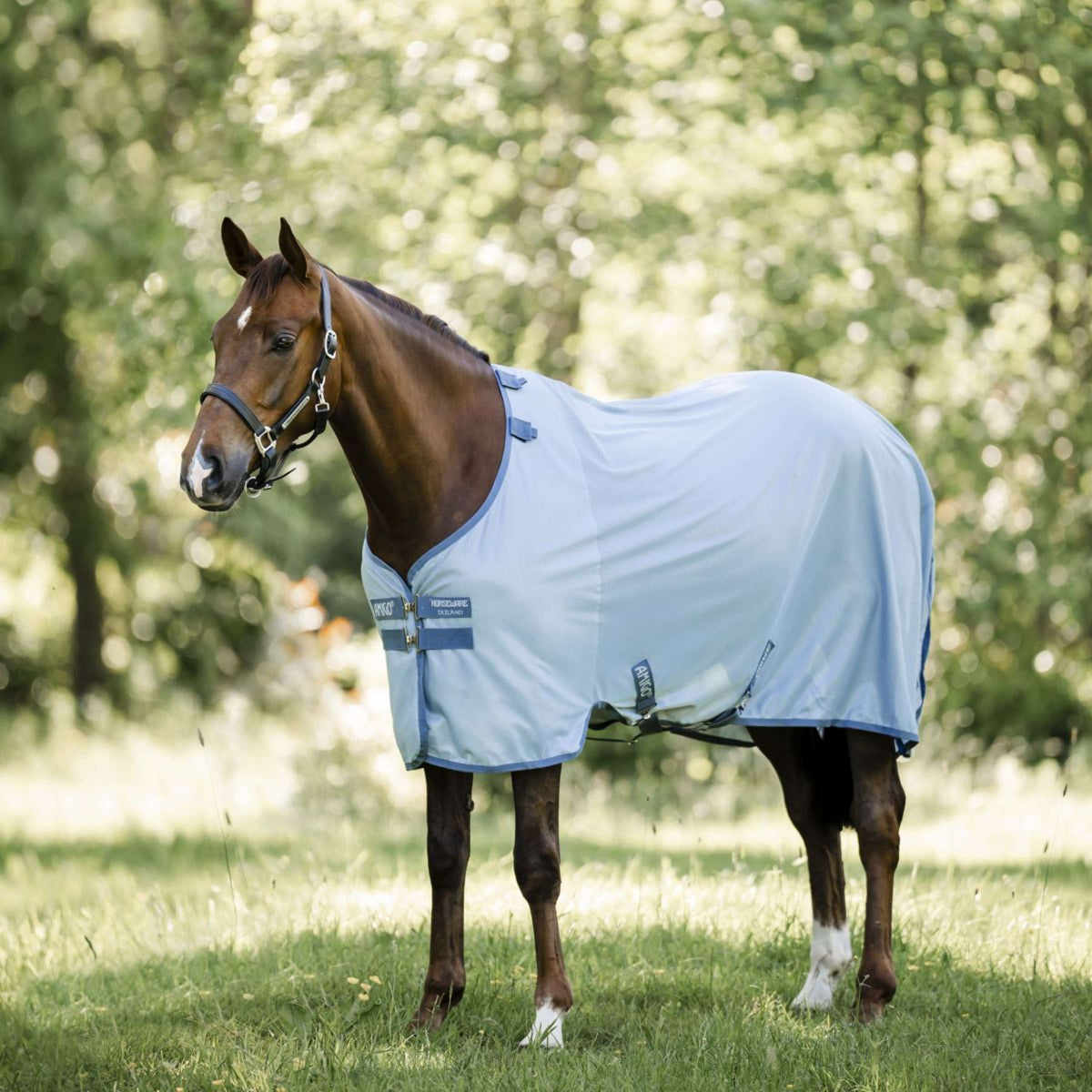 Amigo Couverture Anti-Mouches Heather Blue/Blue/Silver