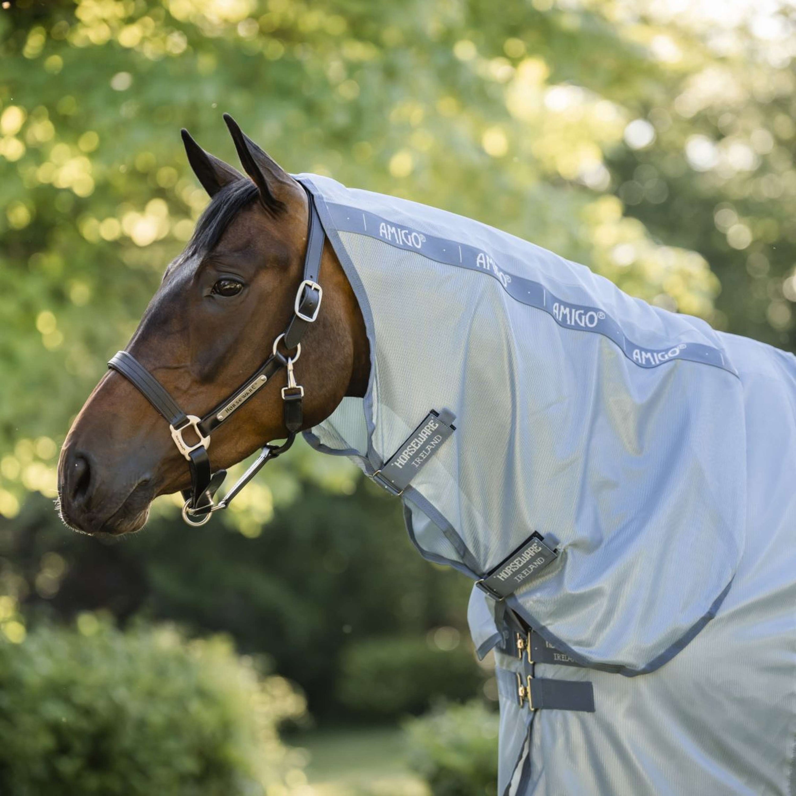 Amigo Couverture Anti-Mouches Integrated Heather Blue/Blue/Silver