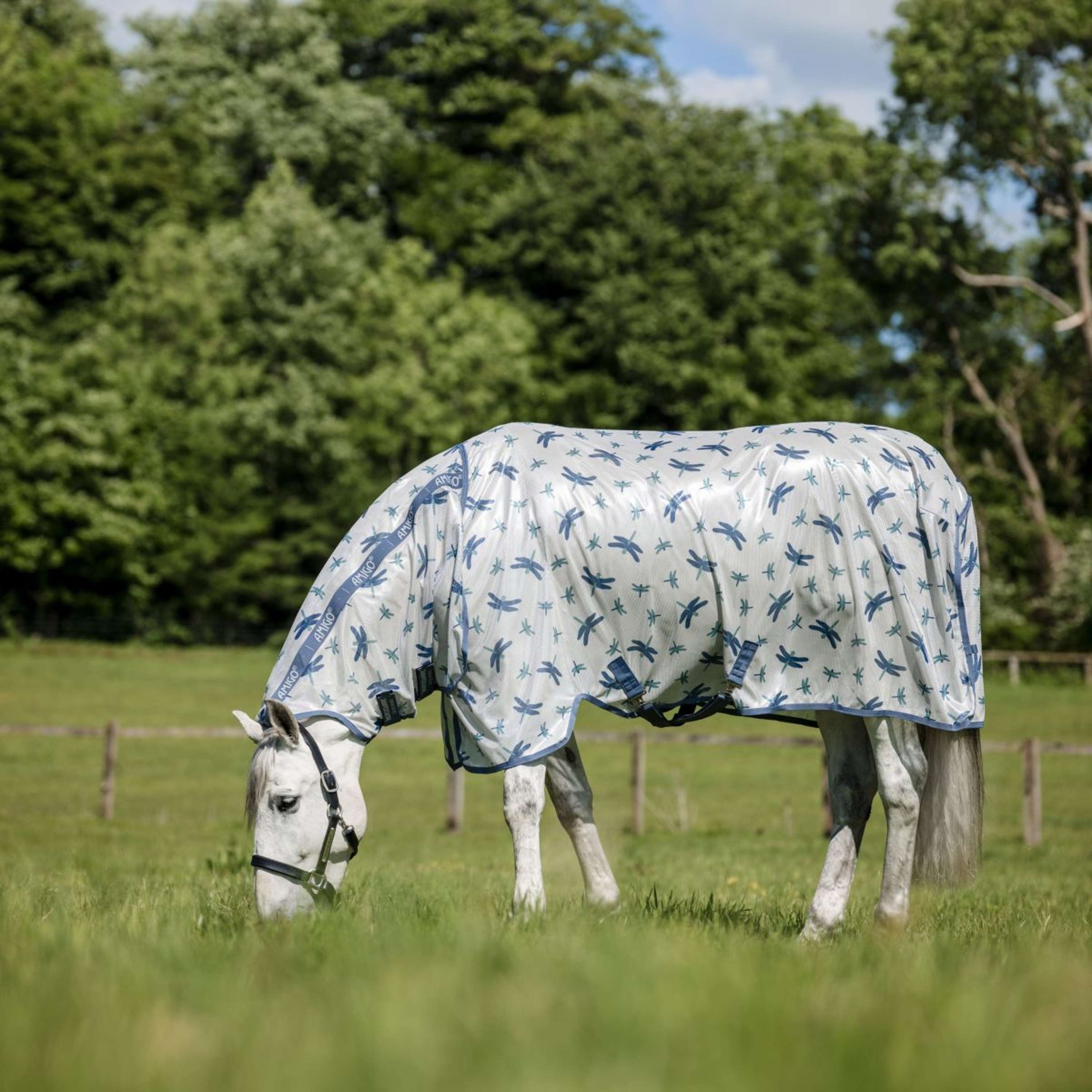 Amigo Couverture Anti-Mouches Integrated Dragonfly Print/Silver/Blue/Sage