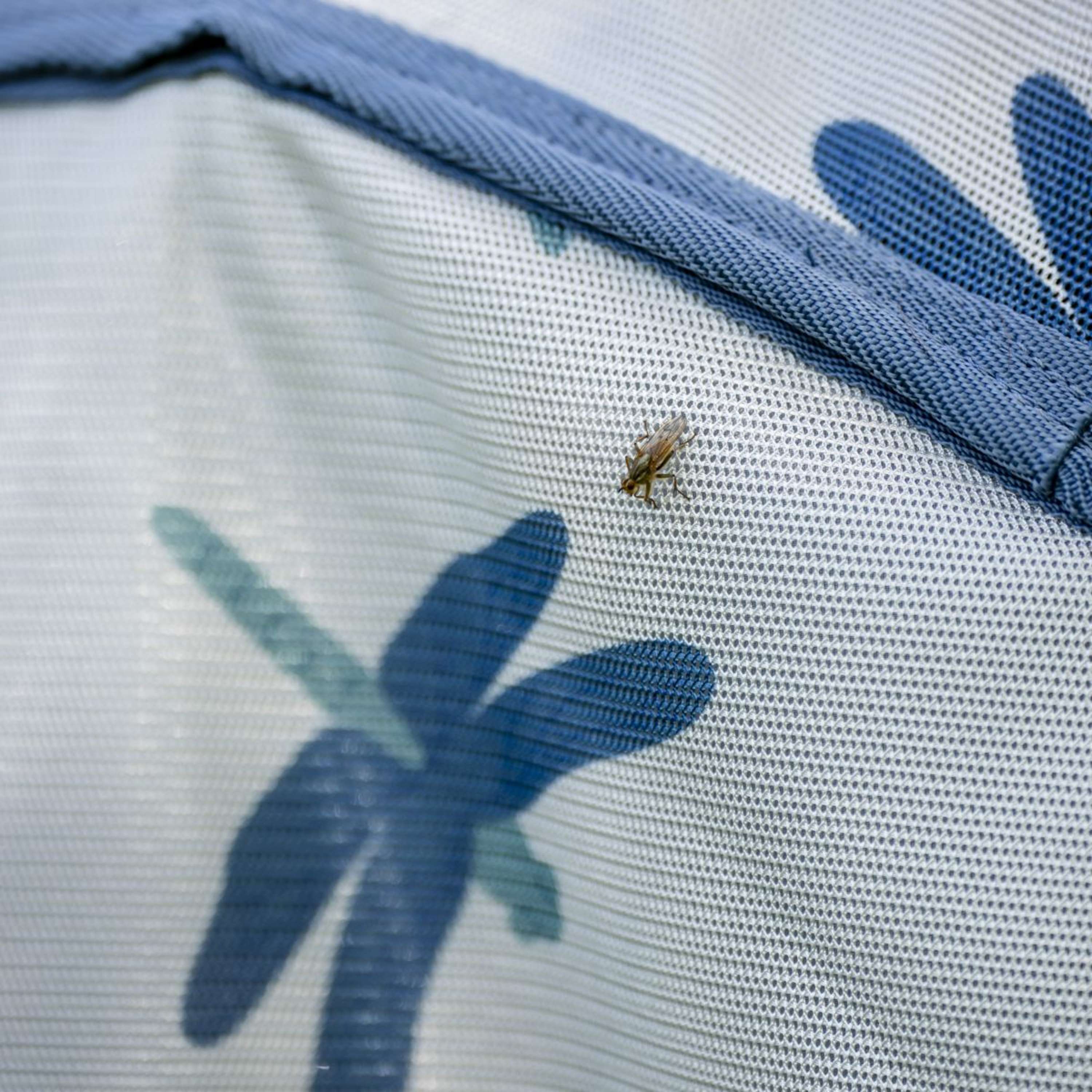 Amigo Couverture Anti-Mouches XL Plus Dragonfly Print/Silver/Blue/Sage