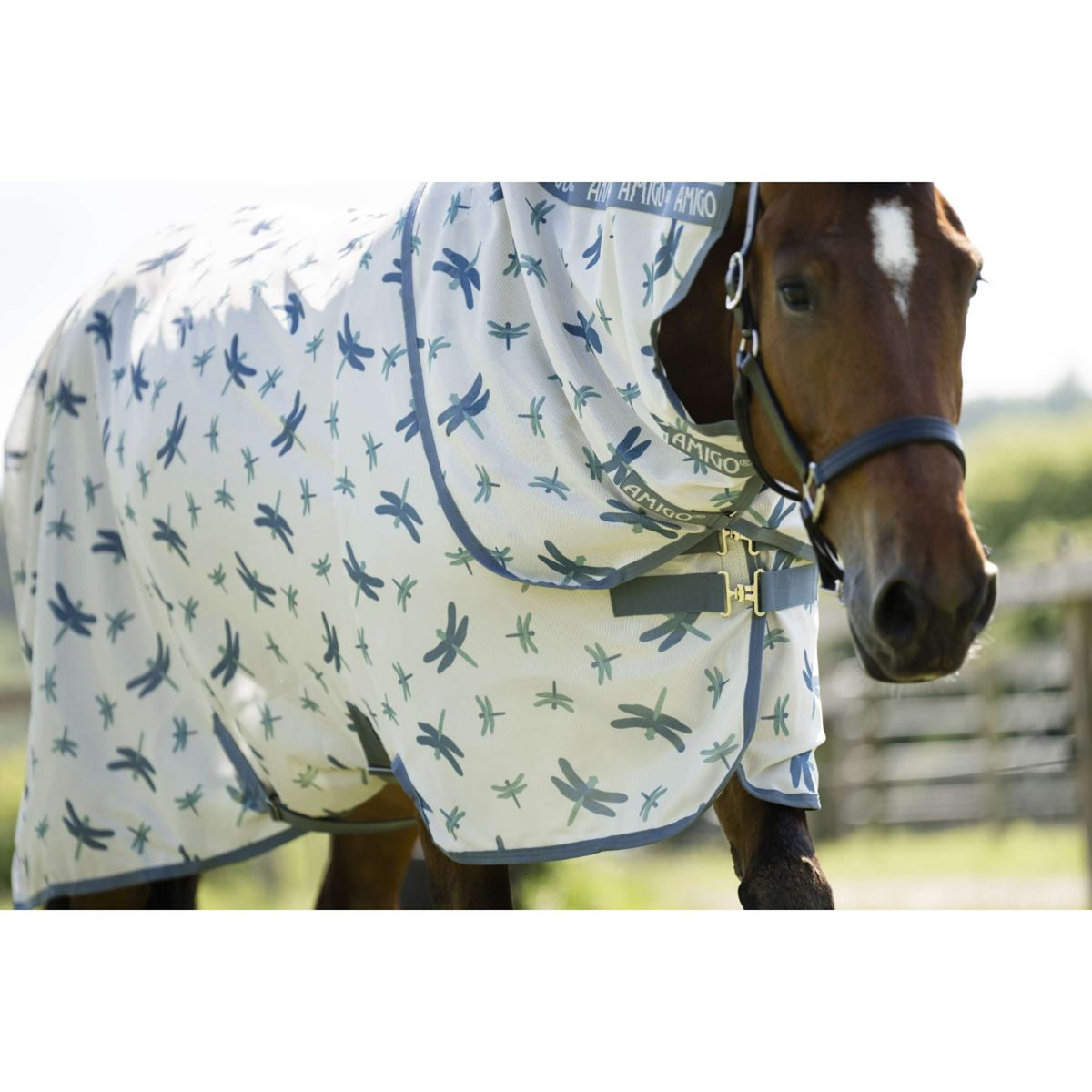 Amigo Couverture Anti-Mouches XL Plus Dragonfly Print/Silver/Blue/Sage