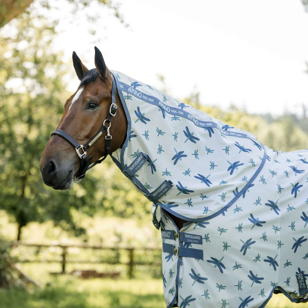 Amigo Couverture Anti-Mouches XL Plus Dragonfly Print/Silver/Blue/Sage