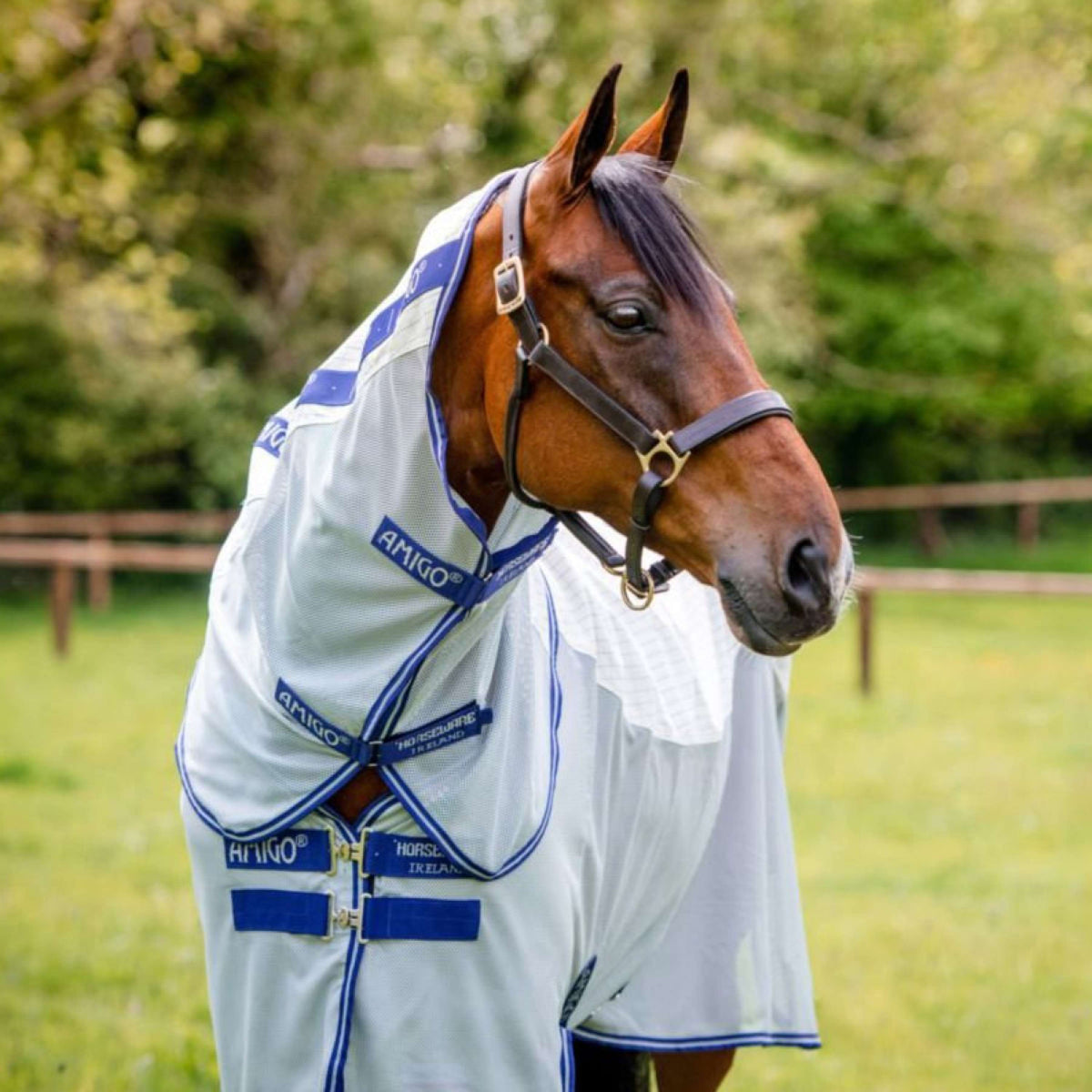 Amigo Couverture d'Été Airflow Navy Check/Atlantic Blue