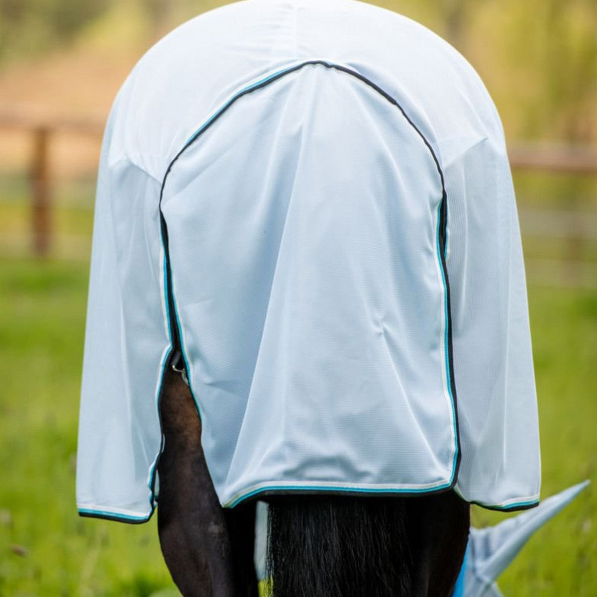 Amigo Bug Rug Azure Blue/Noir