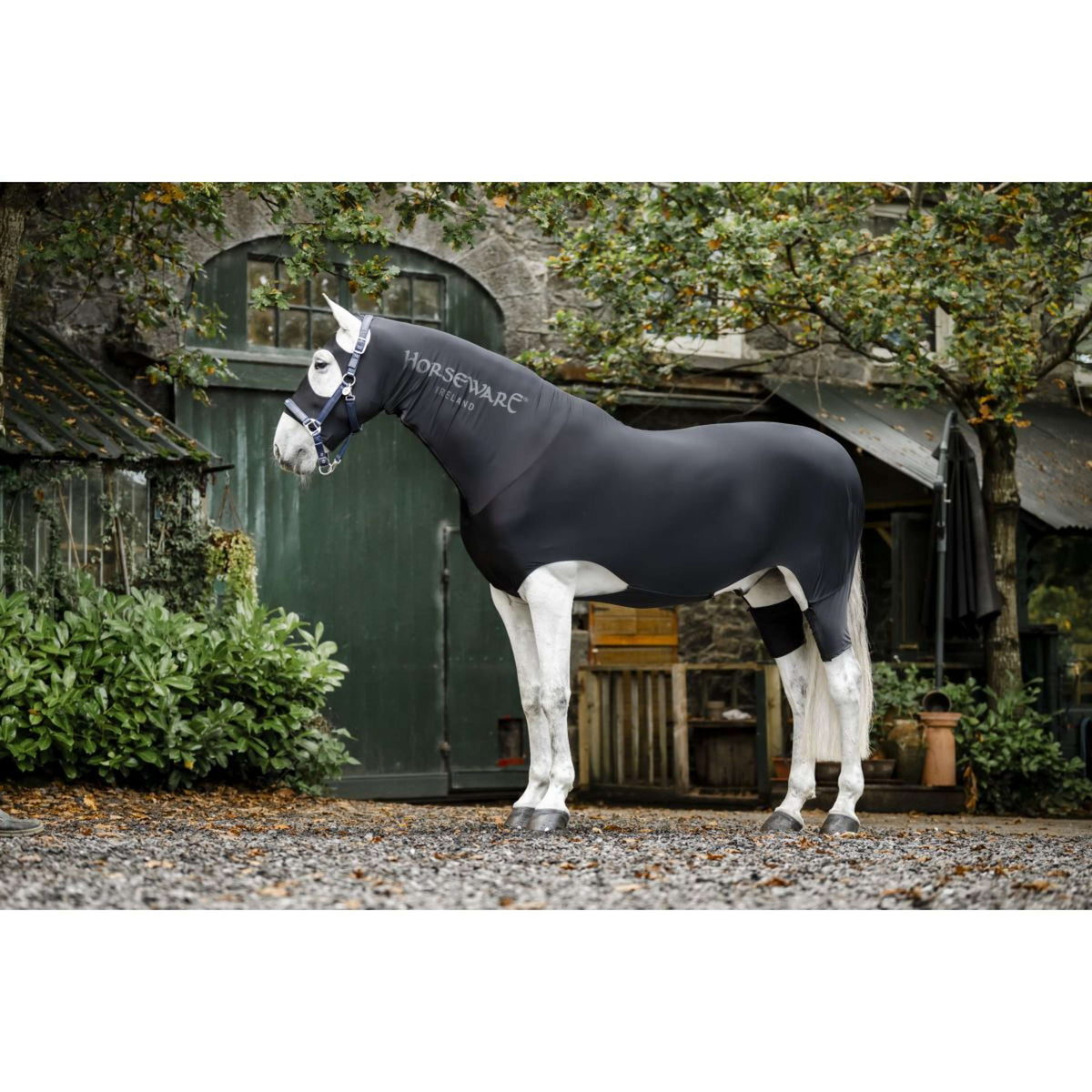 Rambo Slinky Full Body New Noir