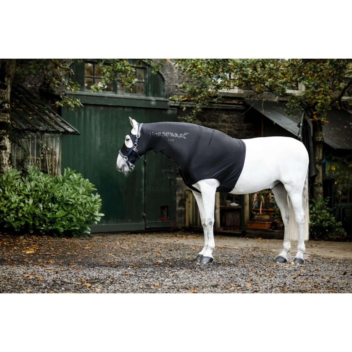 Rambo Slinky Hood New Noir