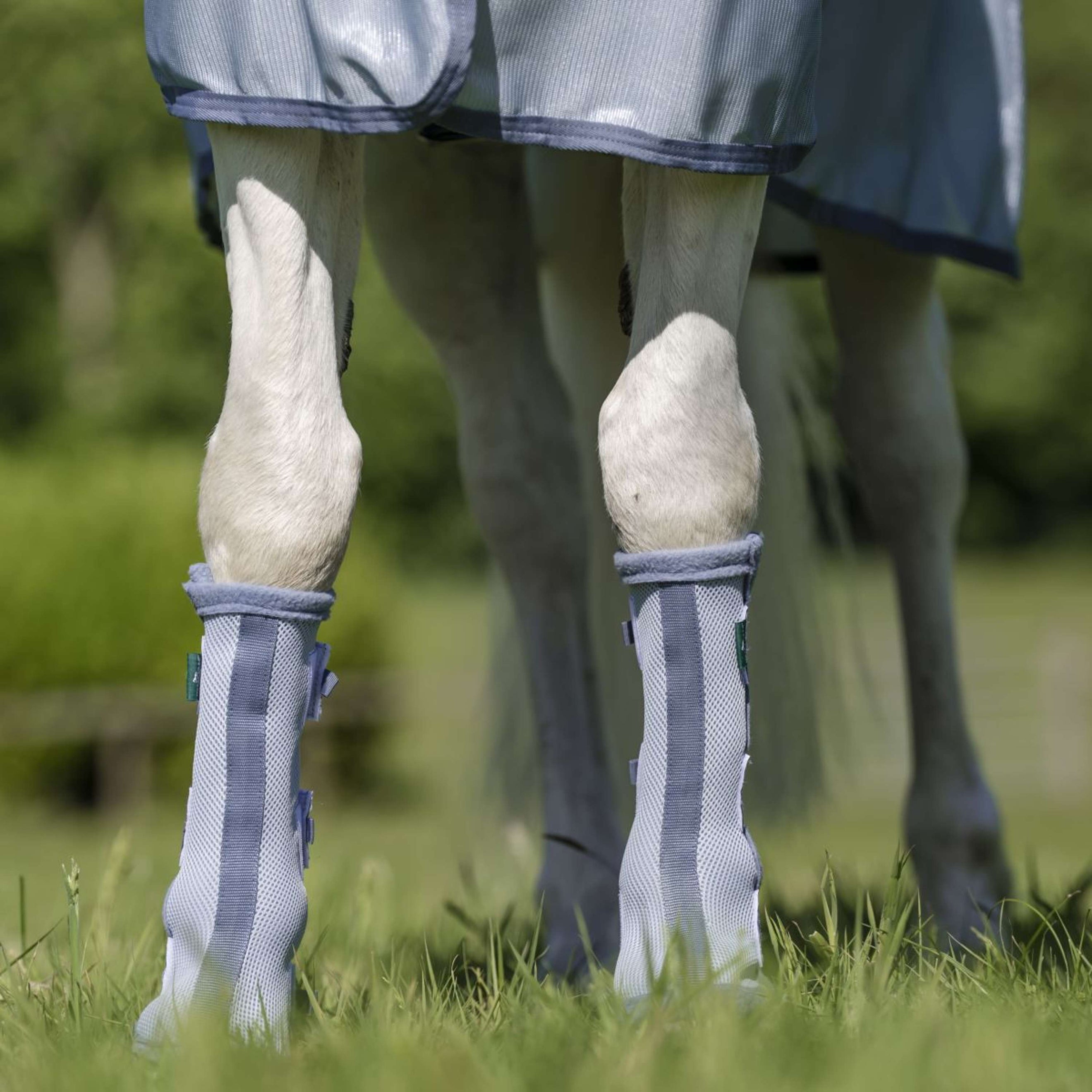 Horseware Fly Boots Set of 2 Heather Blue/Blue/Silver Horseware Fly Boots Set of 2 Heather Blue/Blue/Silver