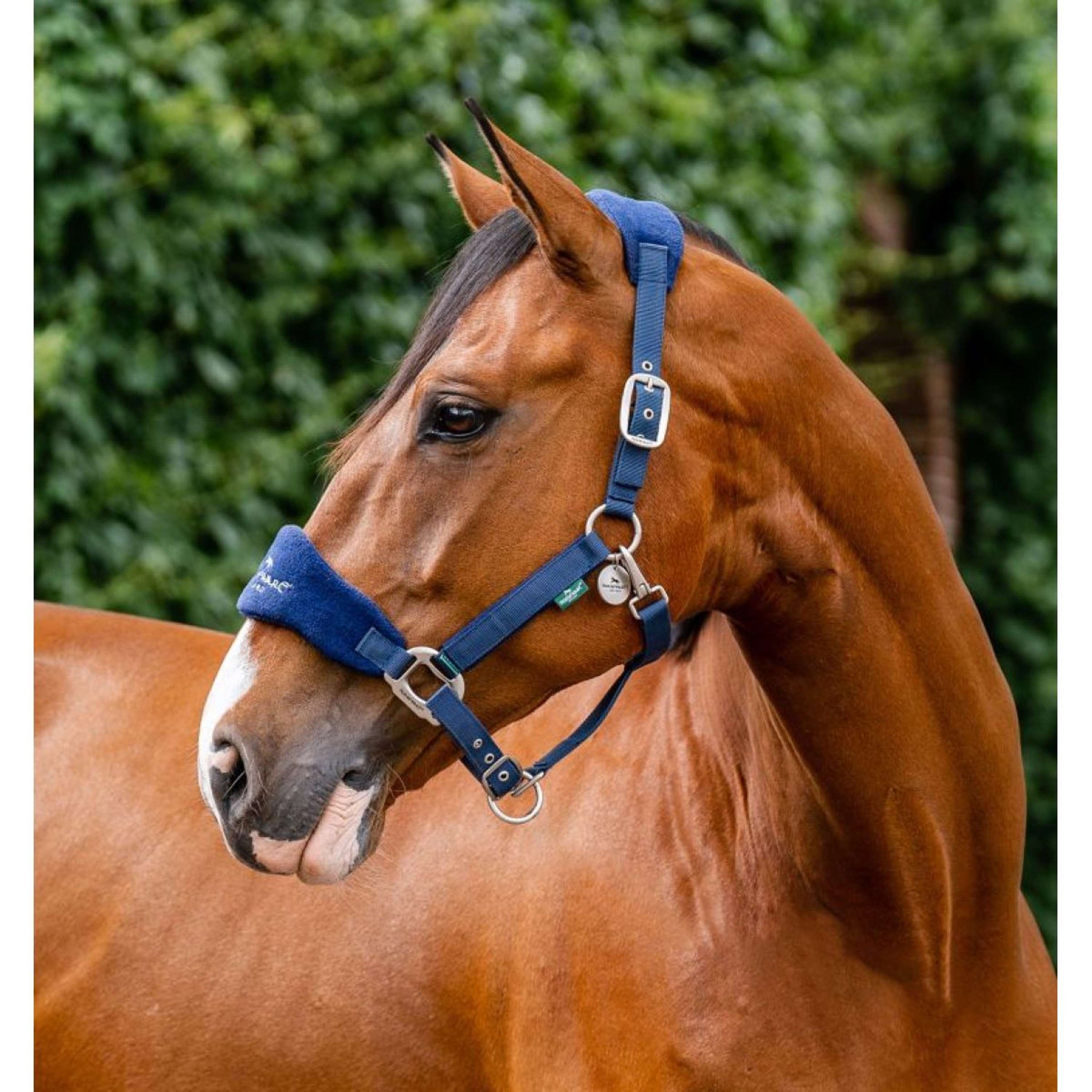 Horseware Licol Grooming Signature Marin