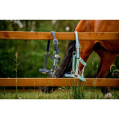 Horseware Licol Field Safe Blue Haze