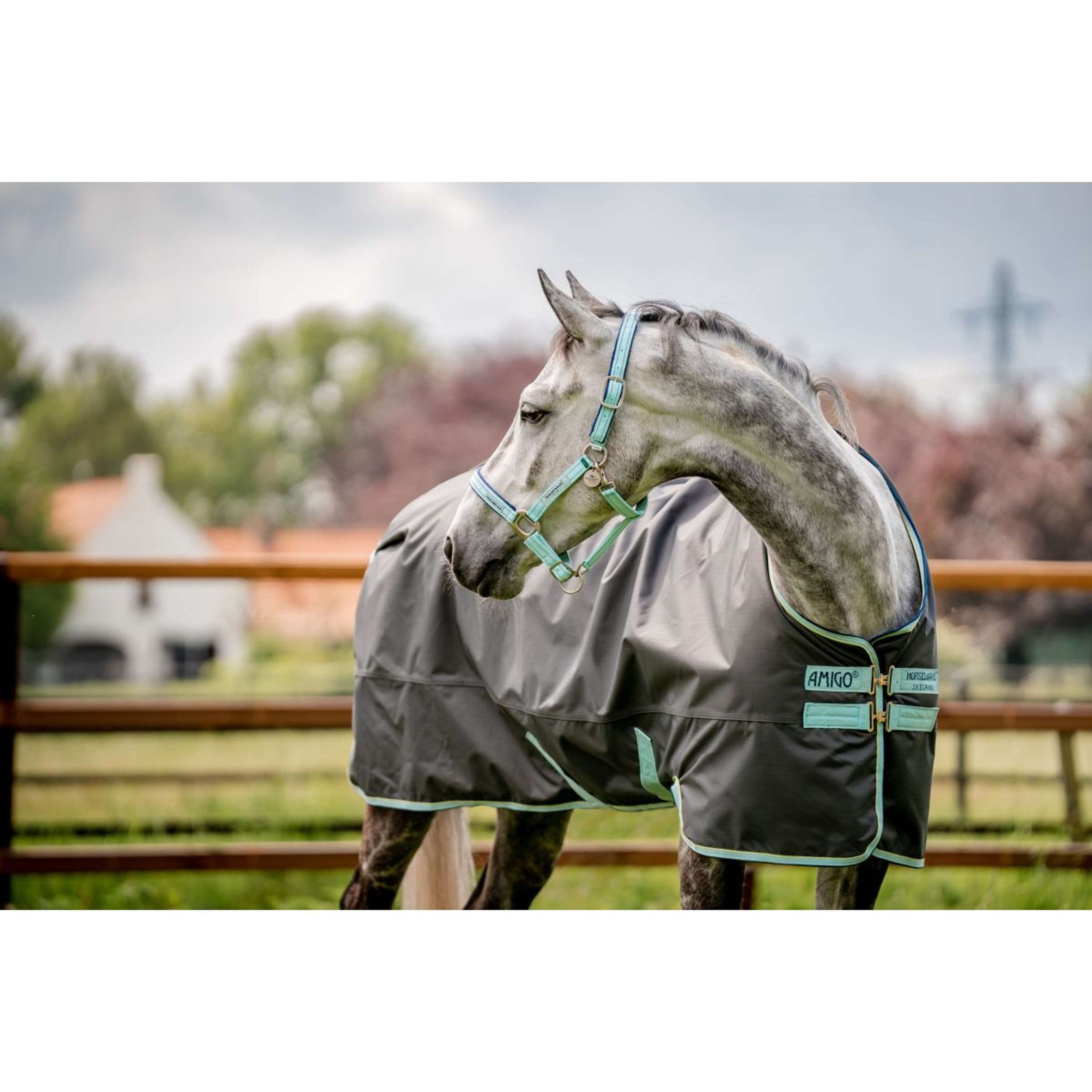 Horseware Licol Field Safe Blue Haze