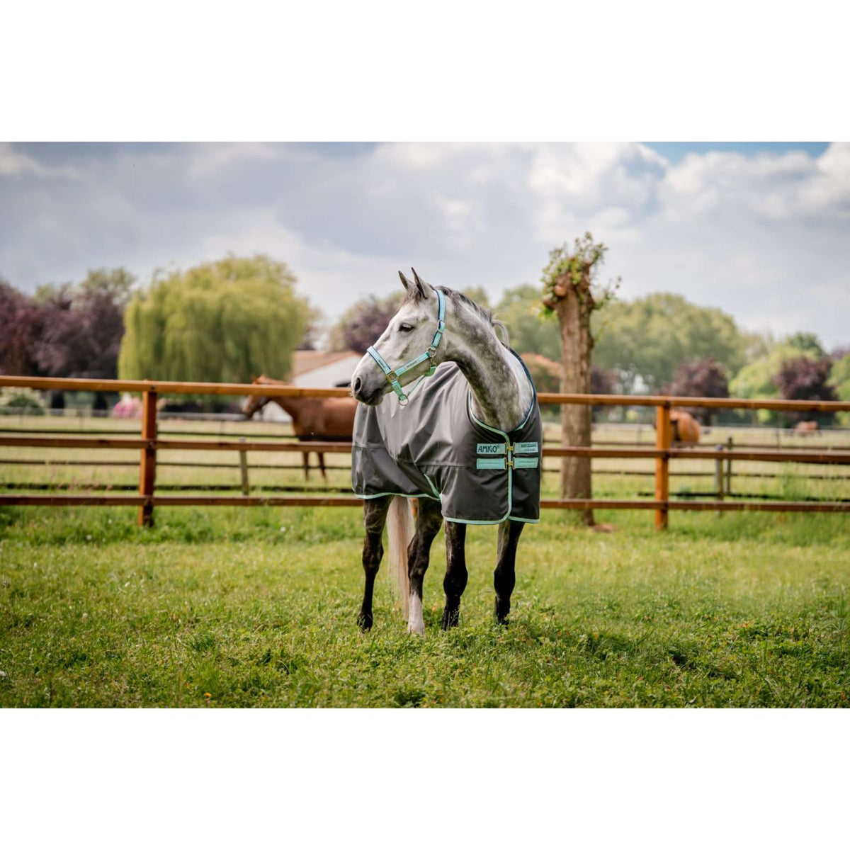 Horseware Licol Field Safe Blue Haze