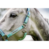 Horseware Licol Field Safe Blue Haze