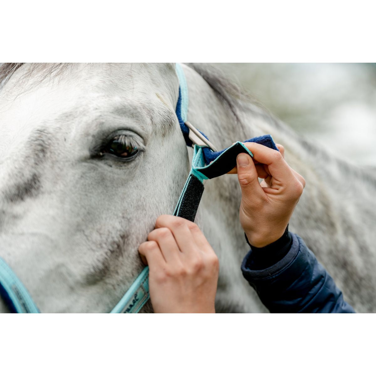 Horseware Licol Field Safe Blue Haze