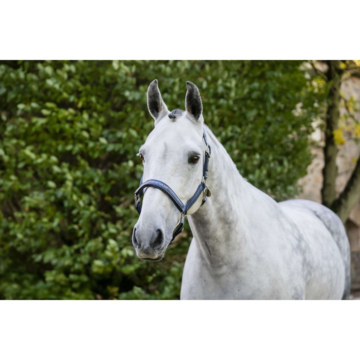 Horseware Licol Grooming Marin