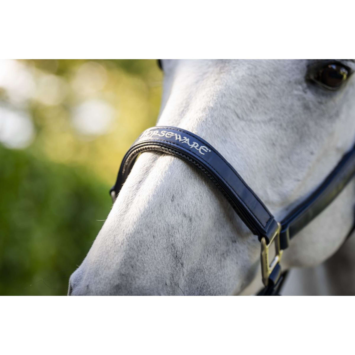Horseware Licol Grooming Marin