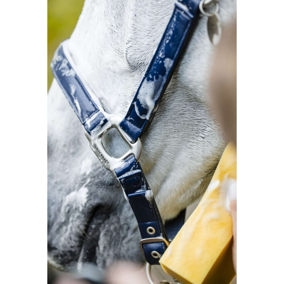 Horseware Licol Grooming Marin