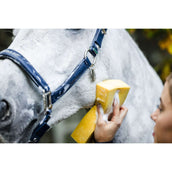 Horseware Licol Grooming Marin