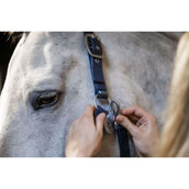 Horseware Licol Grooming Marin