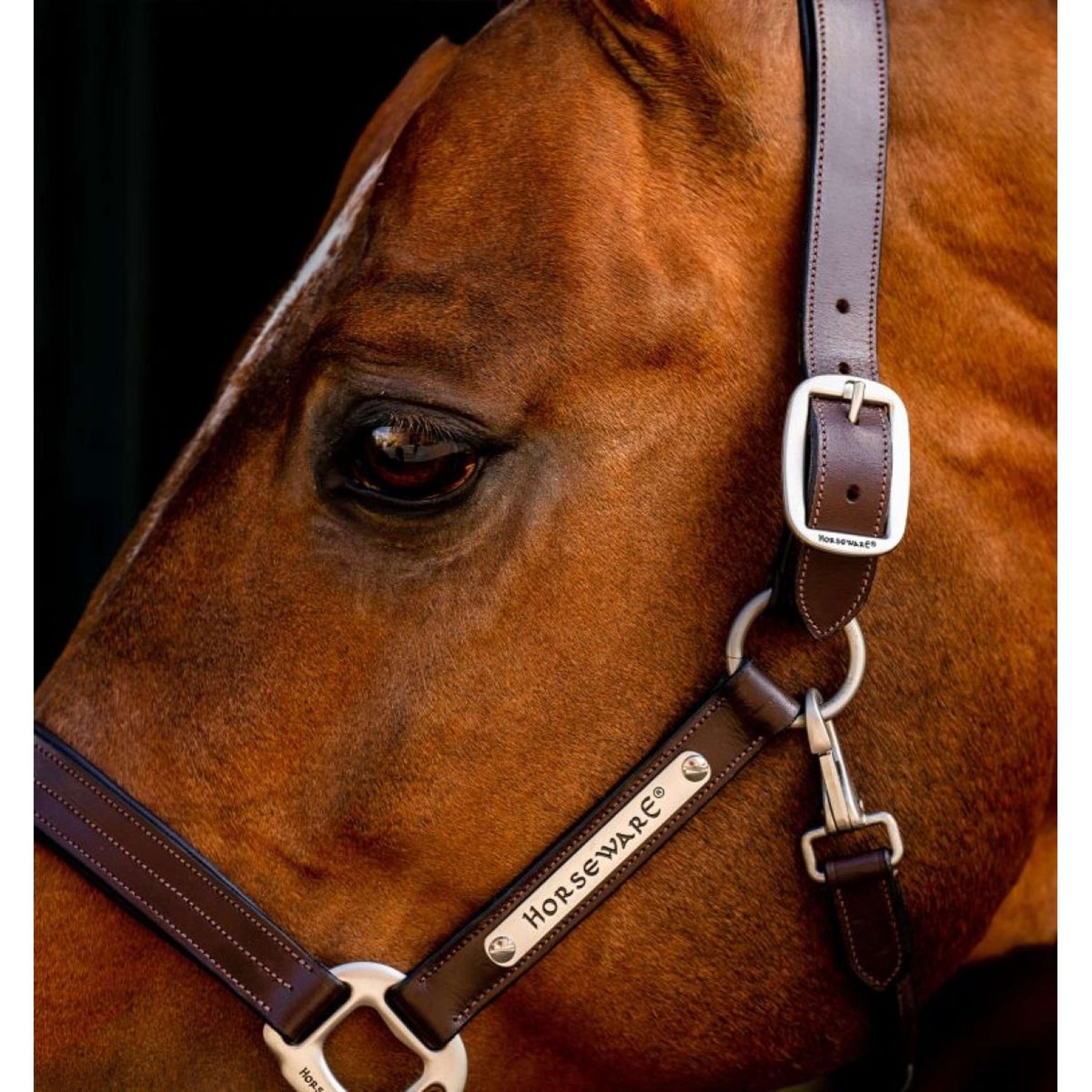 Horseware Licol Signature Cuir Marron