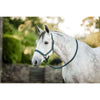 Amigo Licol et Longe Dynasty Green