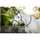 Amigo Licol et Longe Dynasty Green