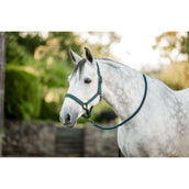 Amigo Licols et Longes Dynasty Green