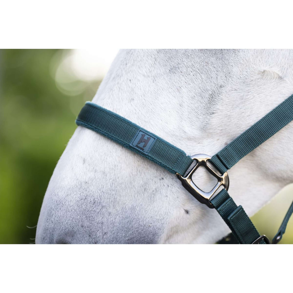 Amigo Licols et Longes Dynasty Green