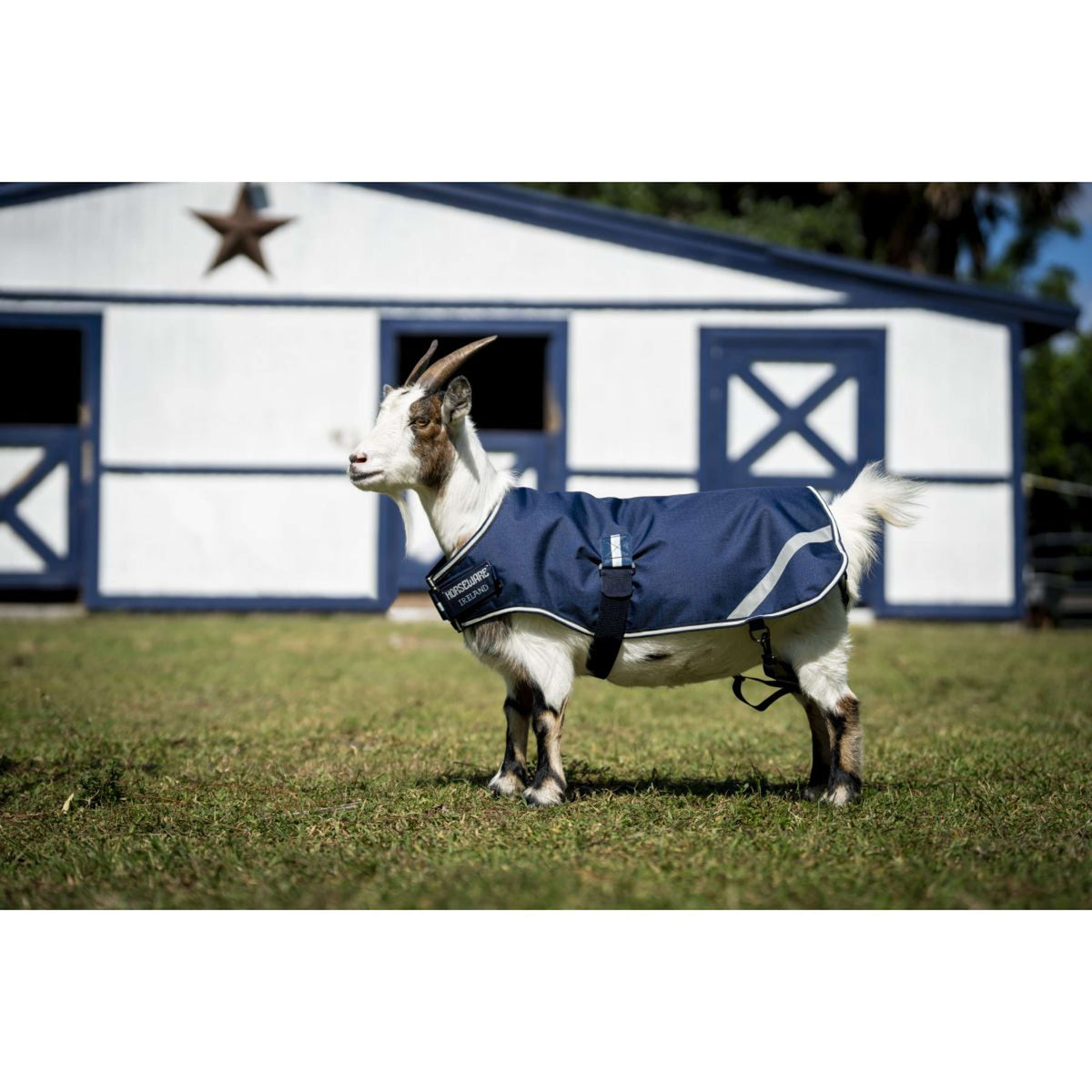 Horseware Goat Coat 0g Witney Navy