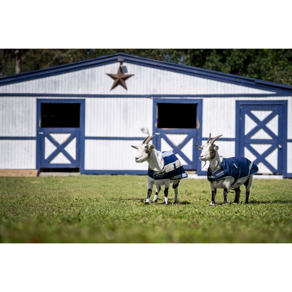 Horseware Goat Coat 0g Witney Navy