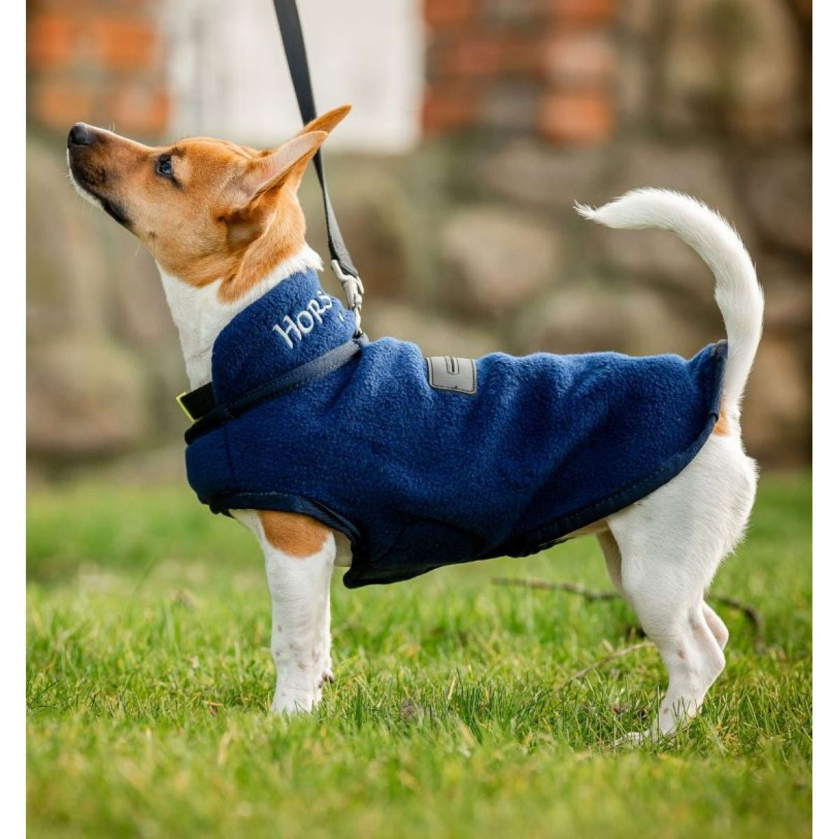 Horseware Couverture pour Chien Signature Fleece Marin