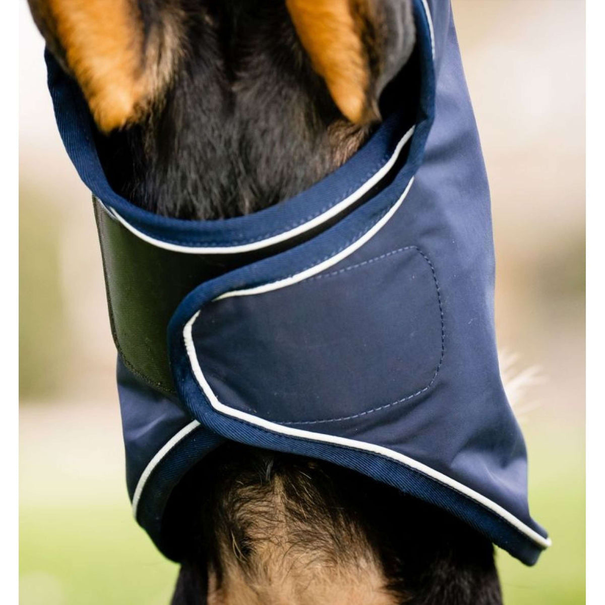 Horseware Couverture pour Chien Signature Rain Marin