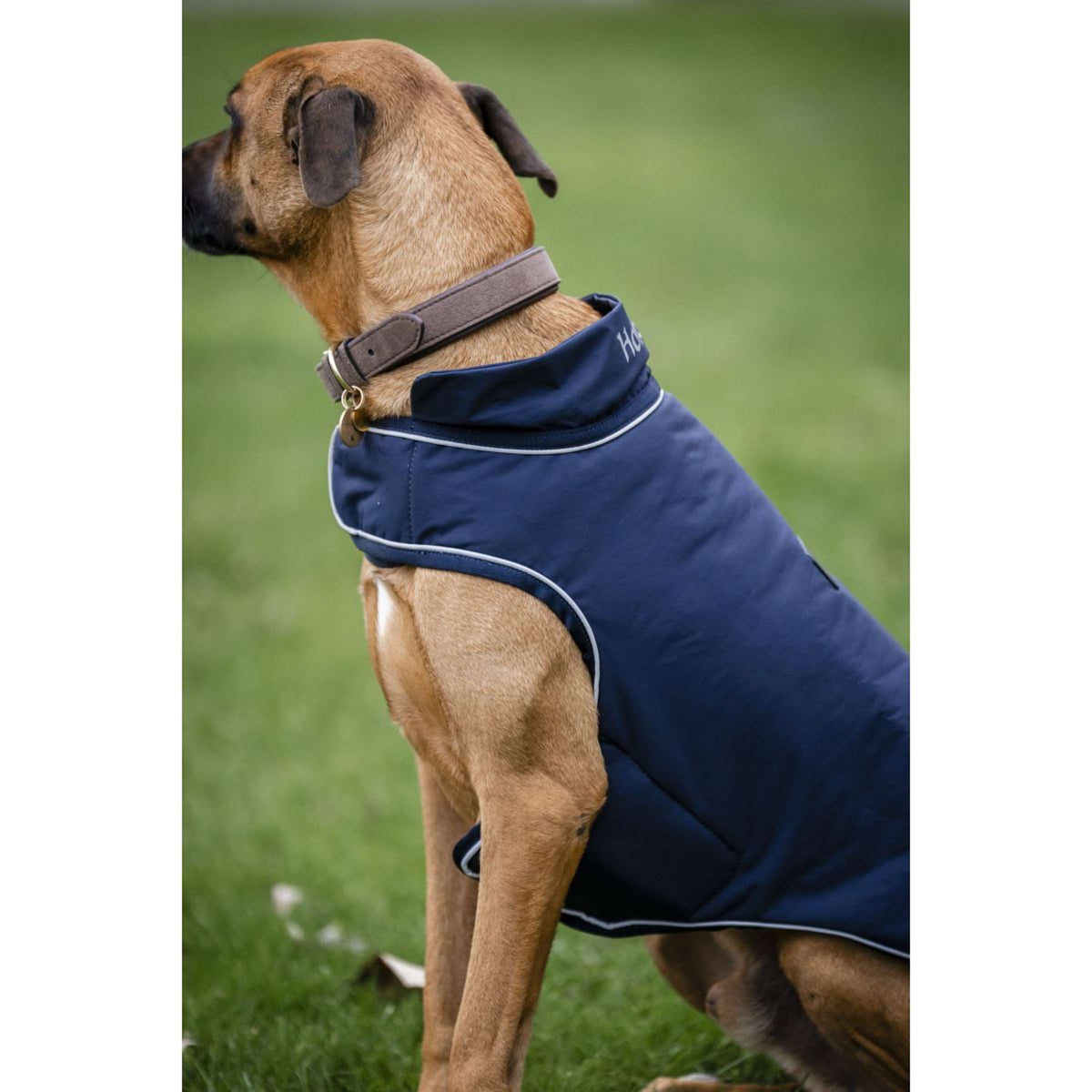 Horseware Couverture de Pluie pour Chien Signature 100g Marin