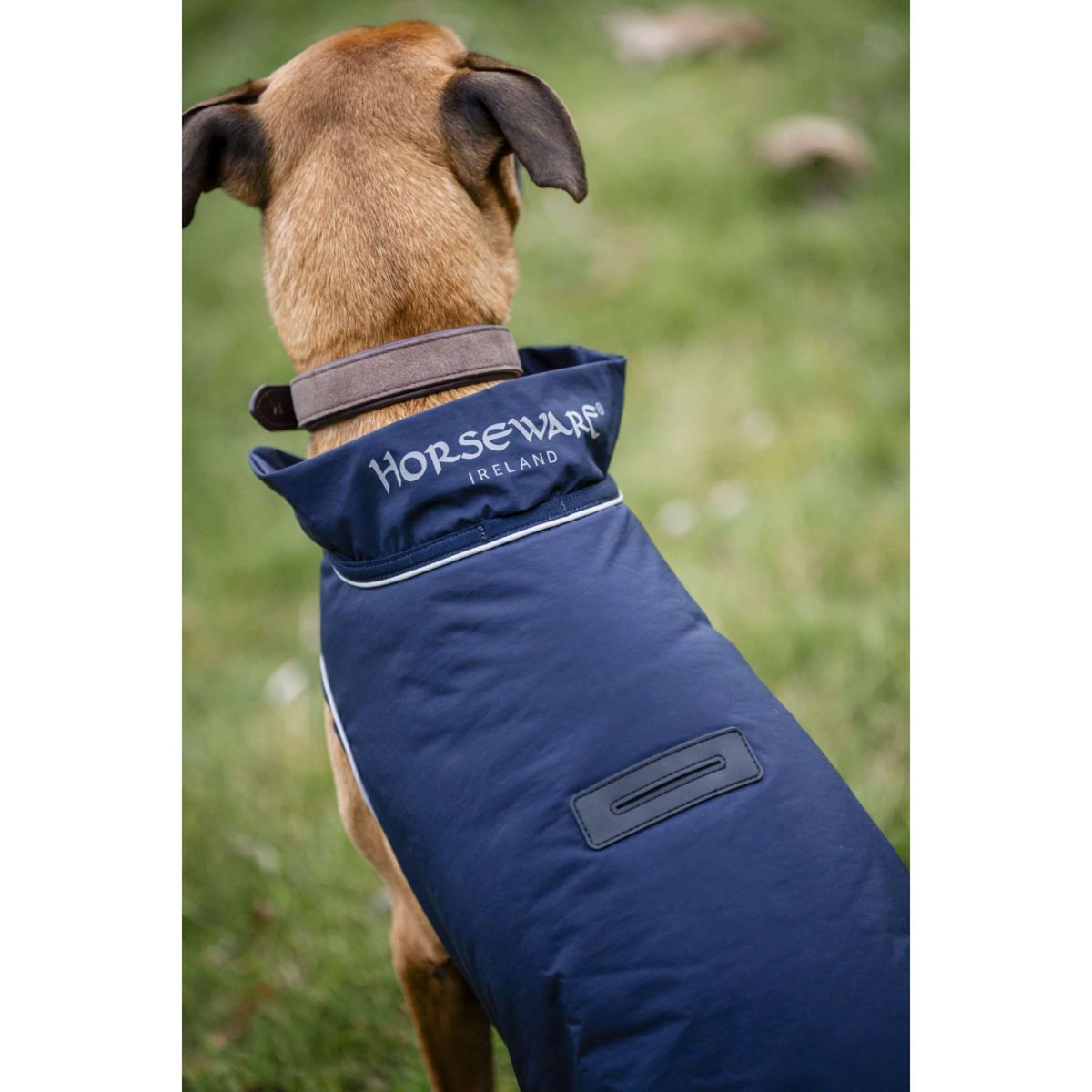 Horseware Couverture de Pluie pour Chien Signature 100g Marin