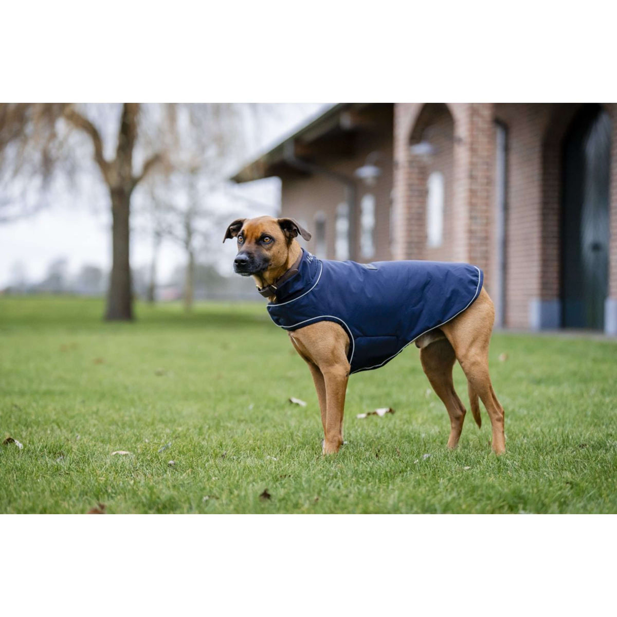 Horseware Couverture de Pluie pour Chien Signature 100g Marin