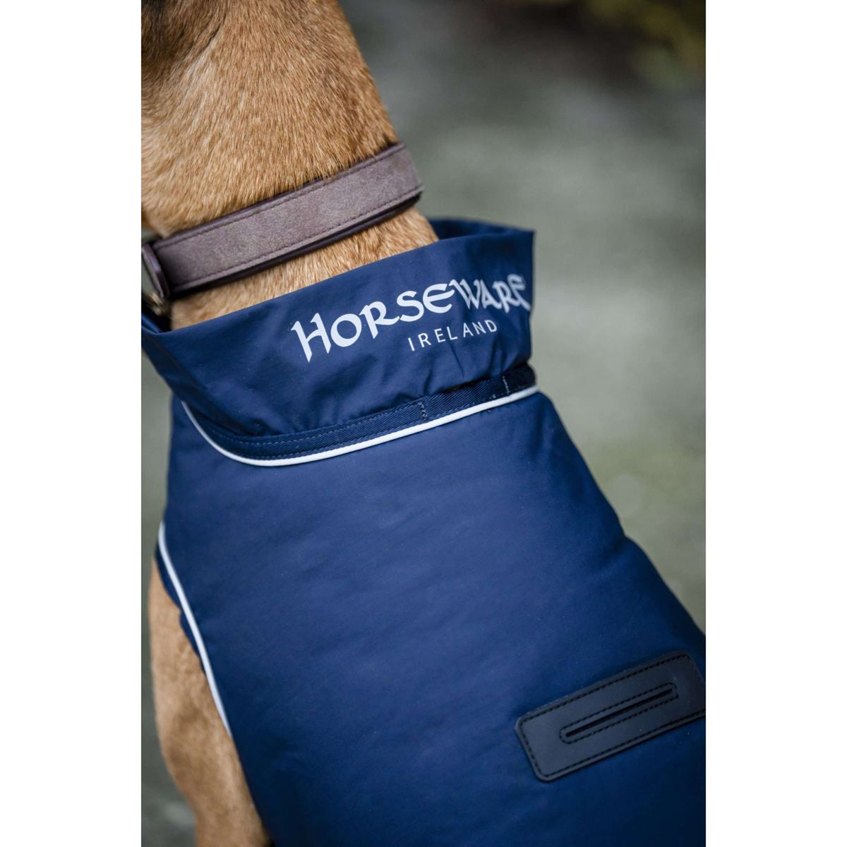 Horseware Couverture de Pluie pour Chien Signature 100g Marin