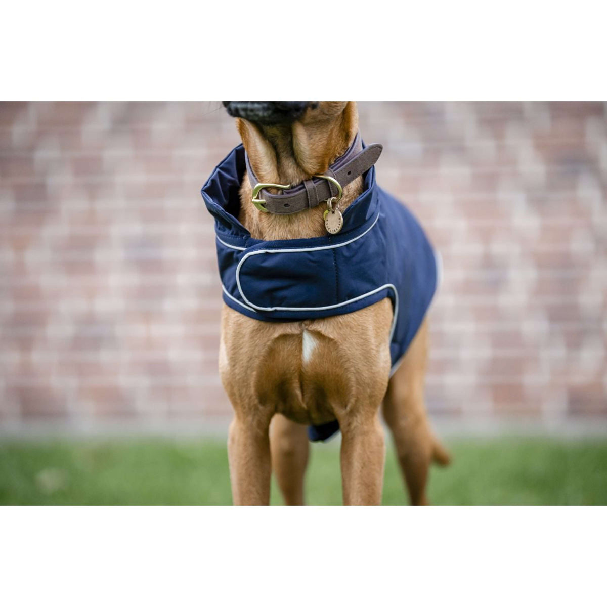 Horseware Couverture de Pluie pour Chien Signature 100g Marin