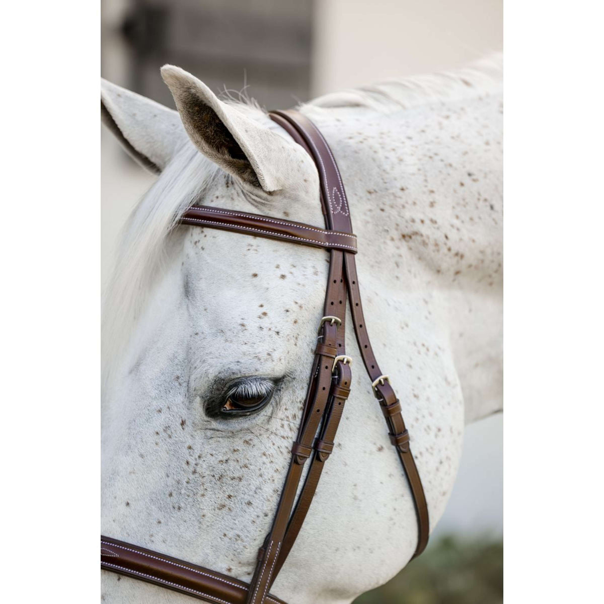 Horseware Bride Pony Hunter Cavesson avec Rênes Dark Tan