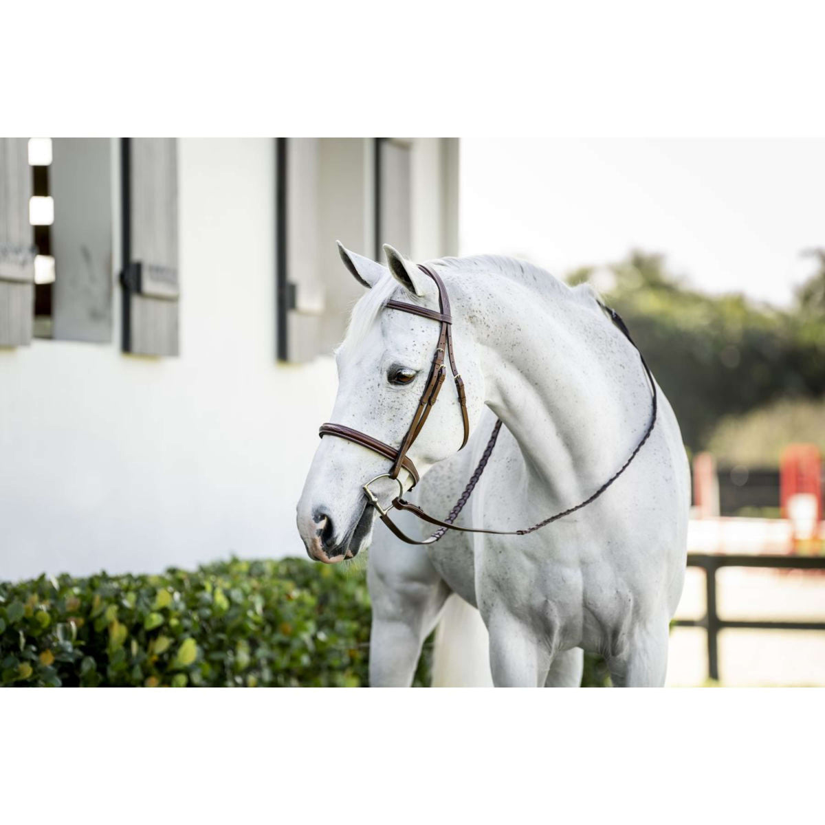 Horseware Bride Pony Hunter Cavesson avec Rênes Dark Tan