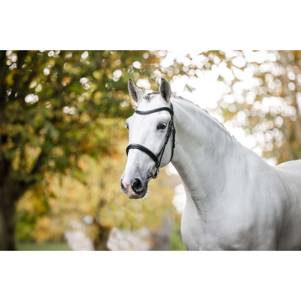 Horseware Bride Pony Cavesson Noir