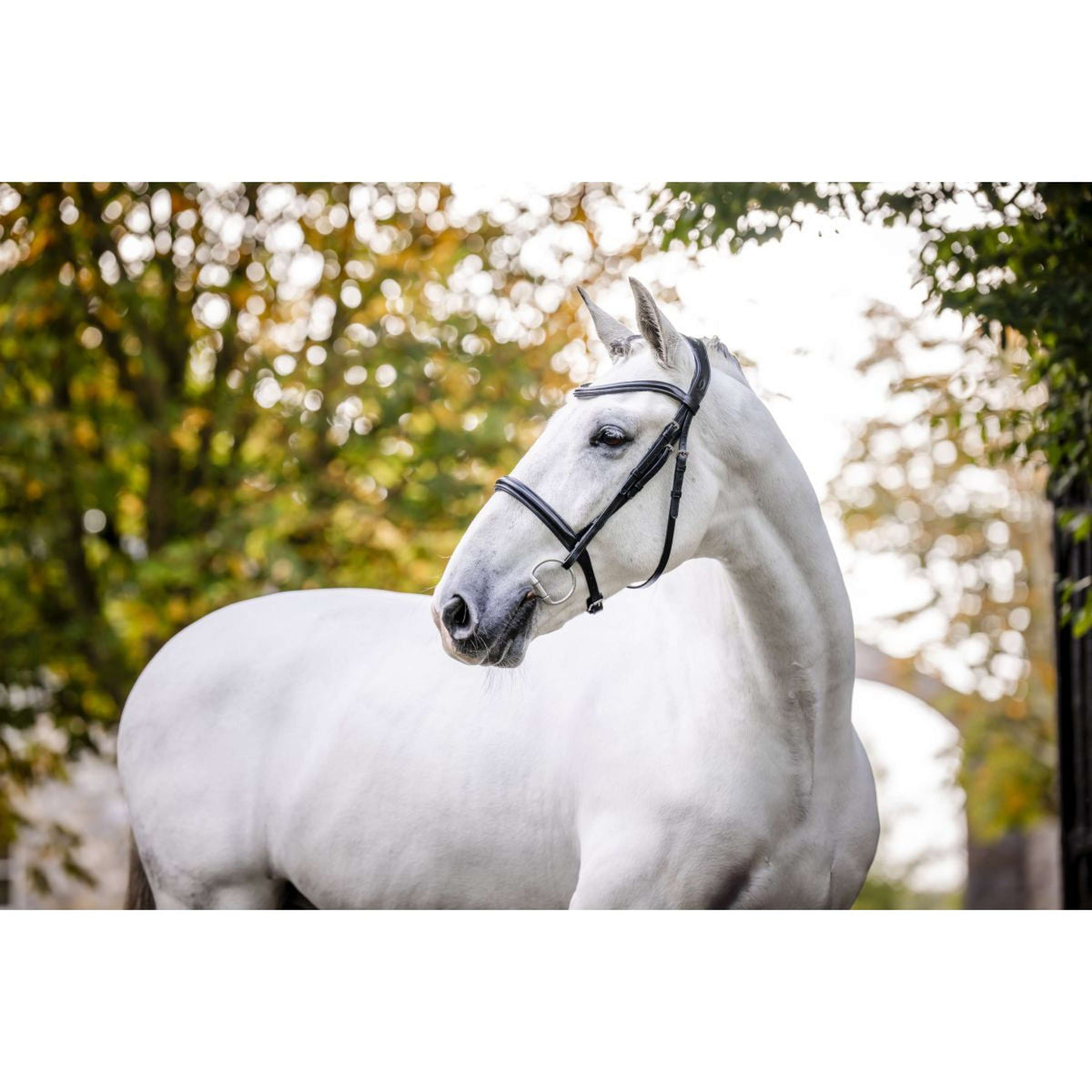 Horseware Bride Pony Cavesson Noir