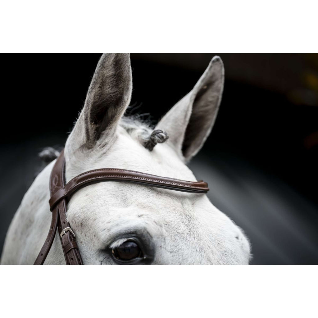Horseware Bride Cavesson Marron