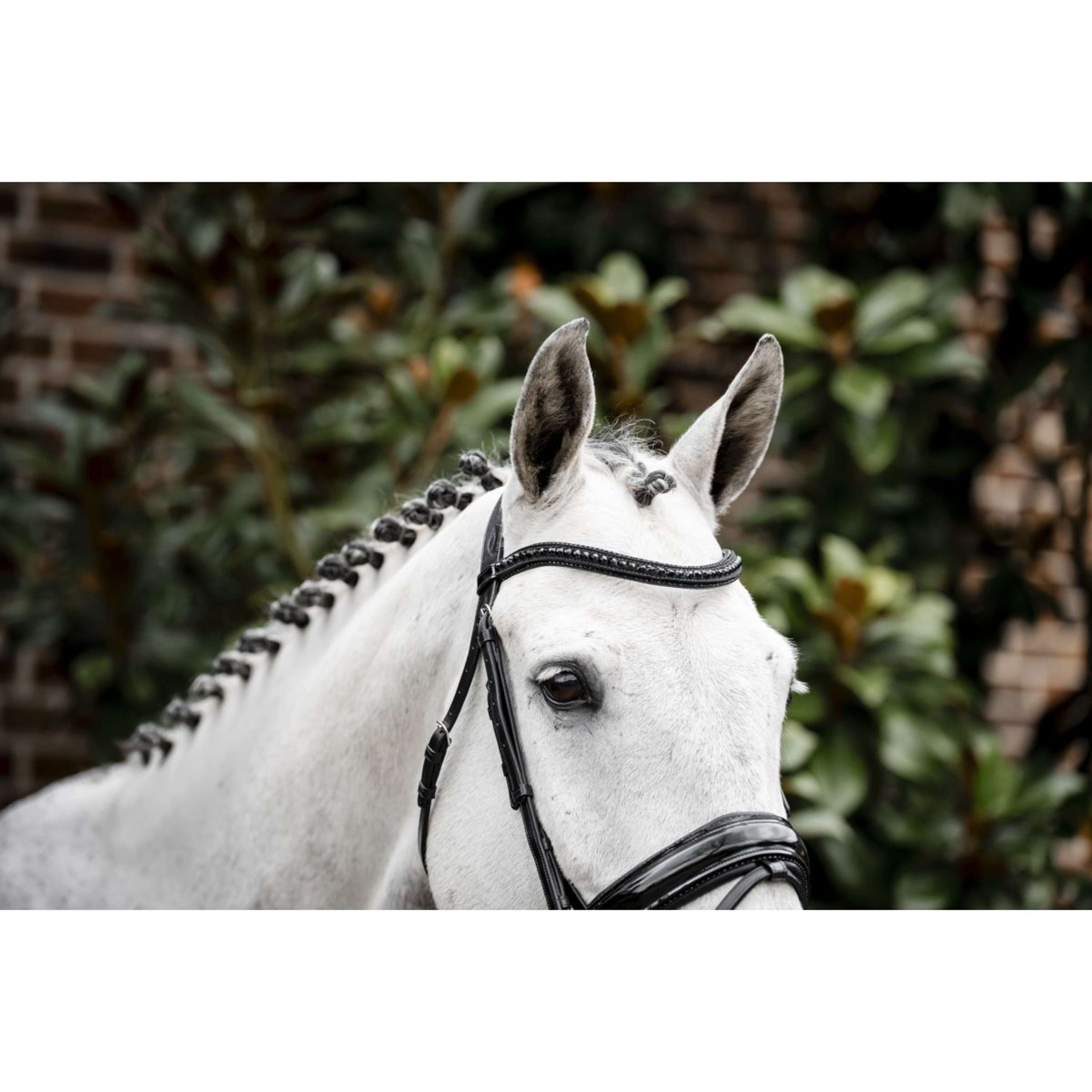 Horseware Bride Diamante Noir Horseware Bride Diamante Noir