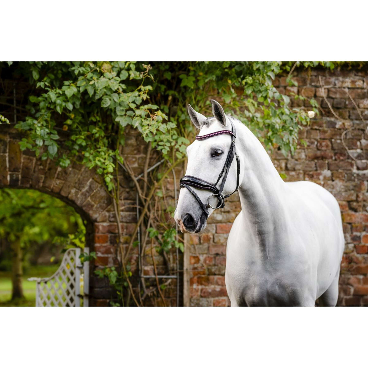 Horseware Bride Pony Diamante Flash Noir/Rose