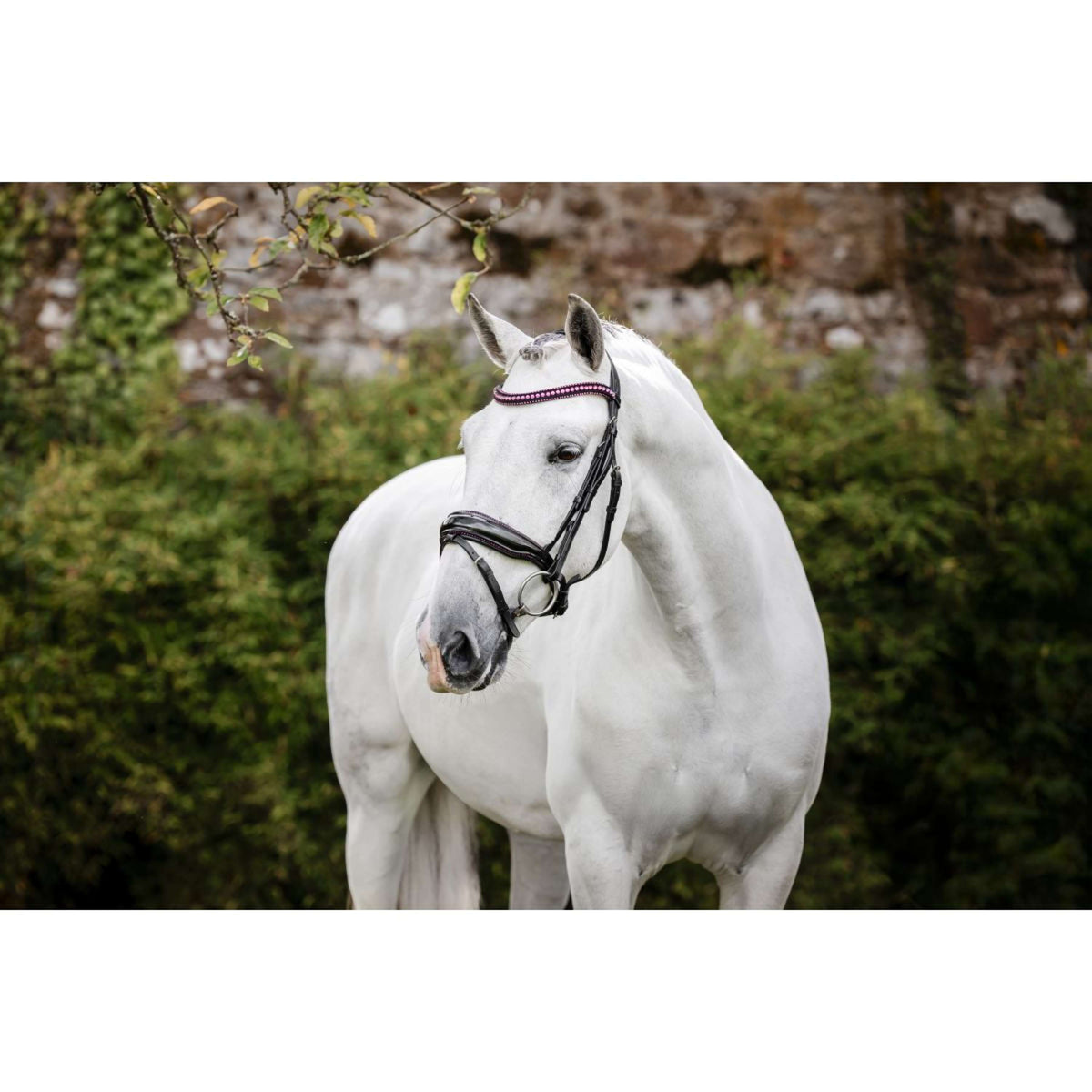 Horseware Bride Pony Diamante Flash Noir/Rose
