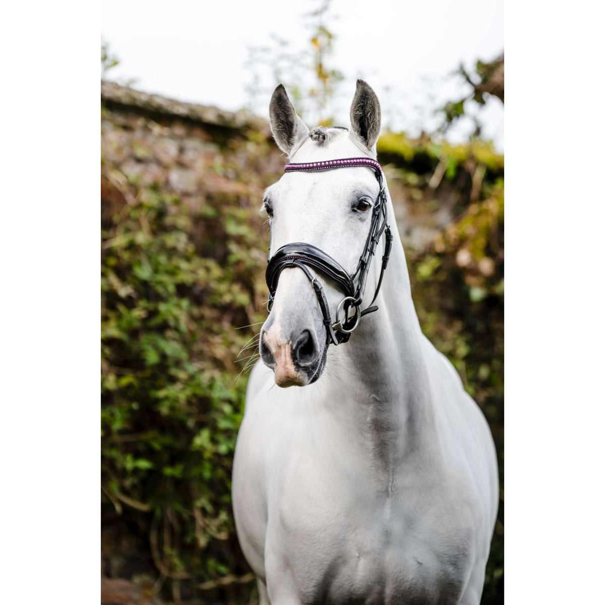 Horseware Bride Pony Diamante Flash Noir/Rose