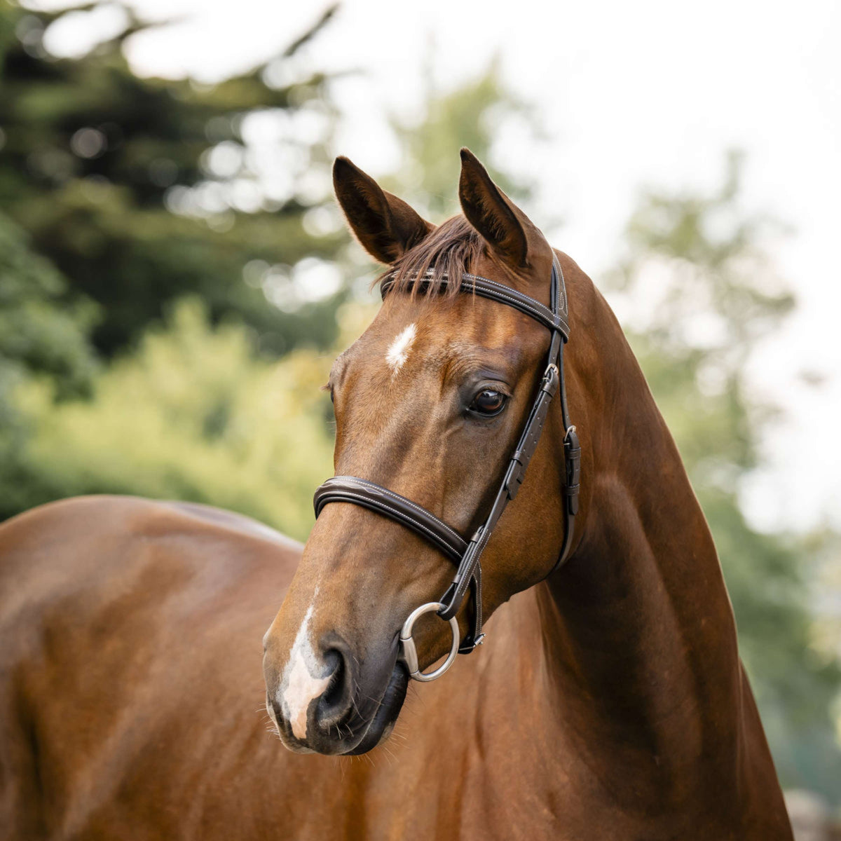 Horseware Bride Hunter Havana Brown