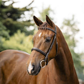 Horseware Bride Hunter Havana Brown